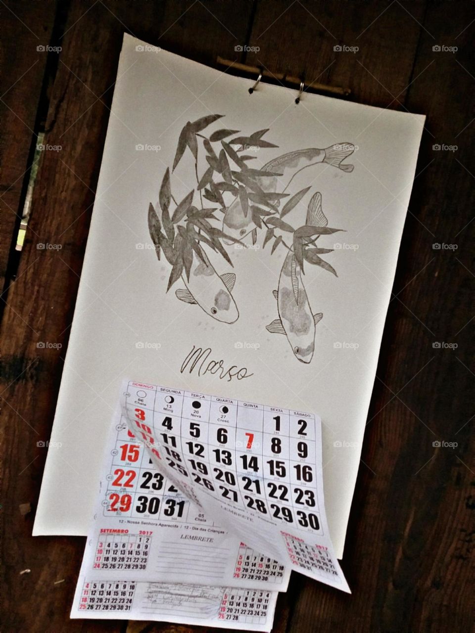 Os dias passando tão rápido quanto o vento.