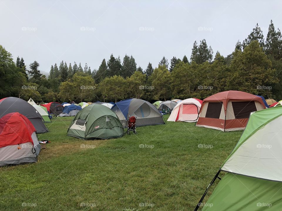 Multicolored tents at a campsite