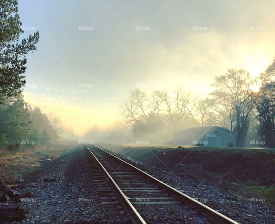 Foggy morning 