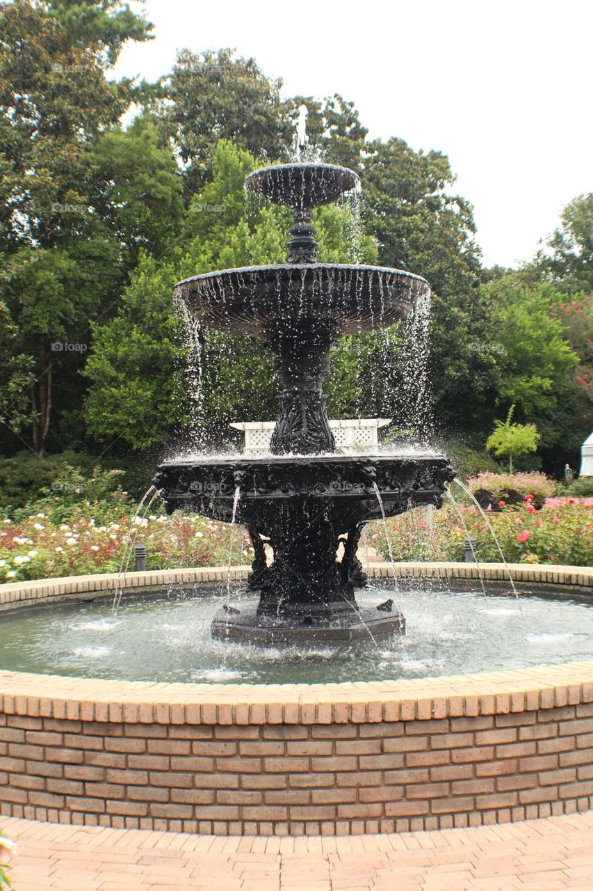 Fountain, Water, Garden, Park, No Person