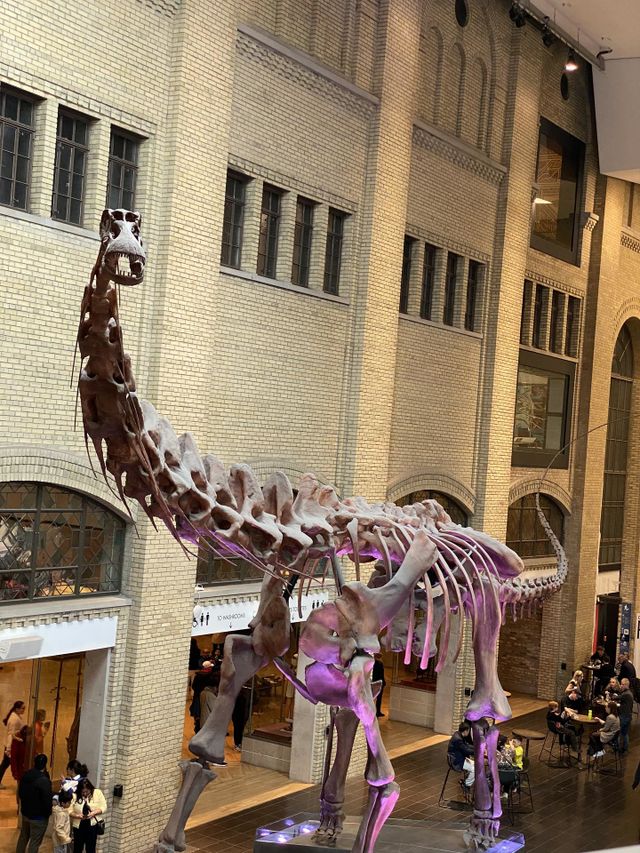 Dinosaur bones 