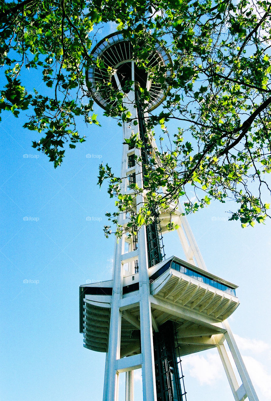 View below the Needle