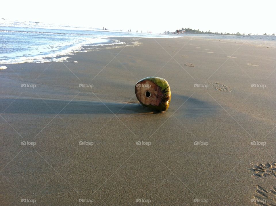 Empty tender coconut shell by a beach. 