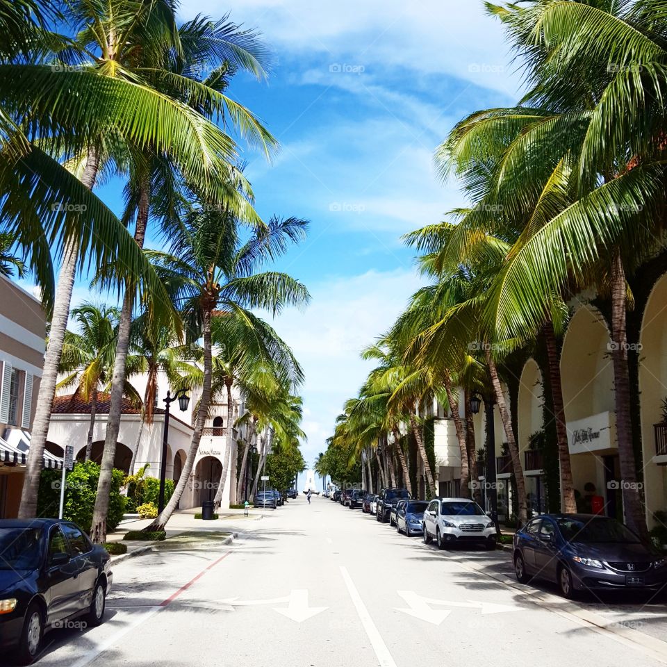 A view down Worth Avenue, THE shopping district of Palm Beach.