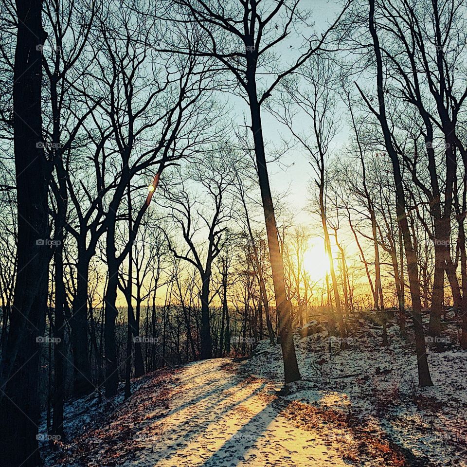 "Darkness cannot drive out darkness; only light can do that. Hate cannot drive out hate; only love can do that."
-Dr. Martin Luther King, Jr.