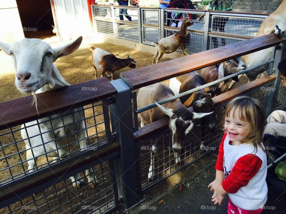 Petting zoo, happiness, Down syndrome