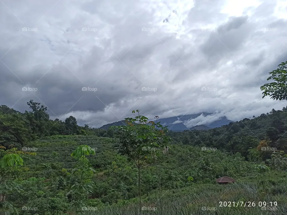 nature