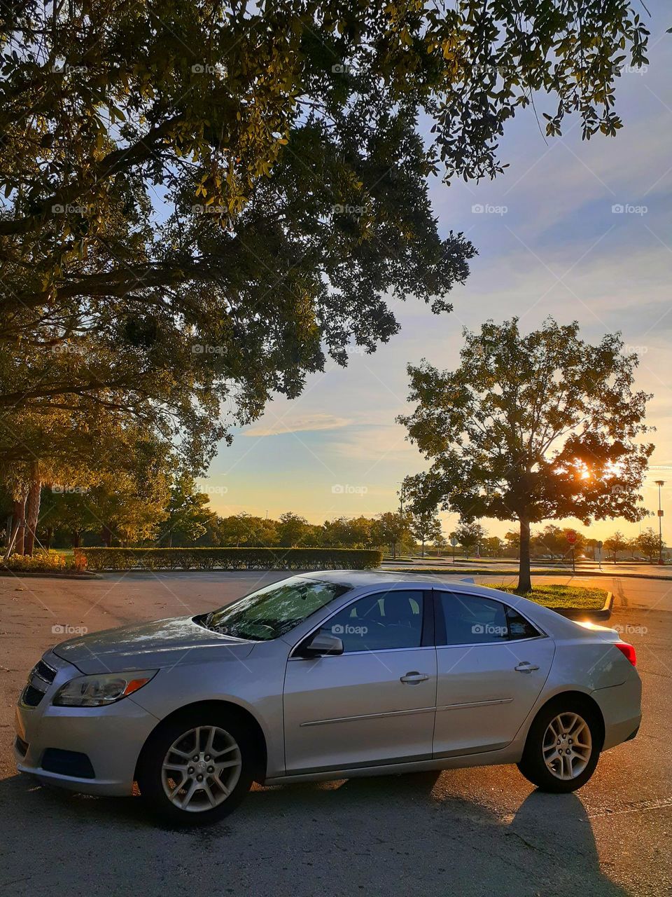 A 2013 Silver Chevy Malibu sits across the street from a park. The sun is rising above the car.