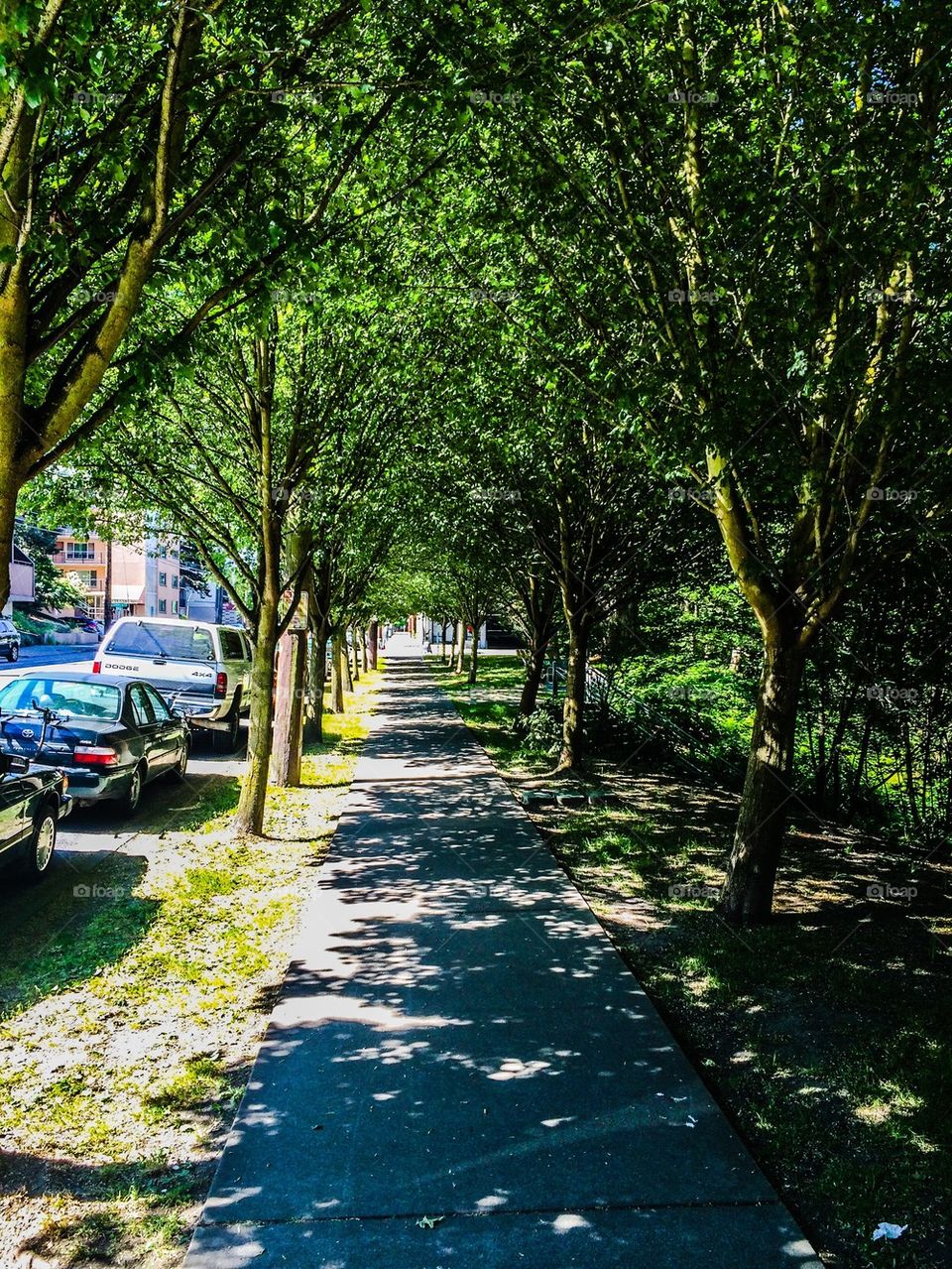 Neighborhood sidewalk