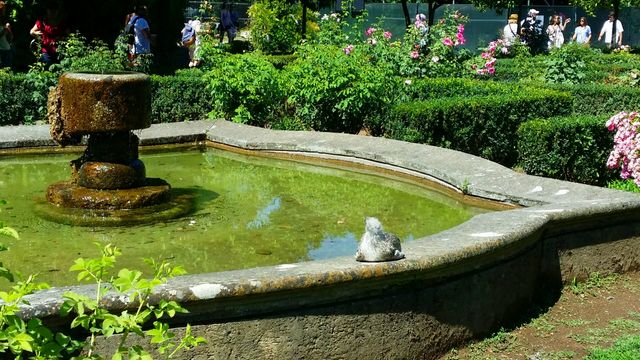 The Fountain