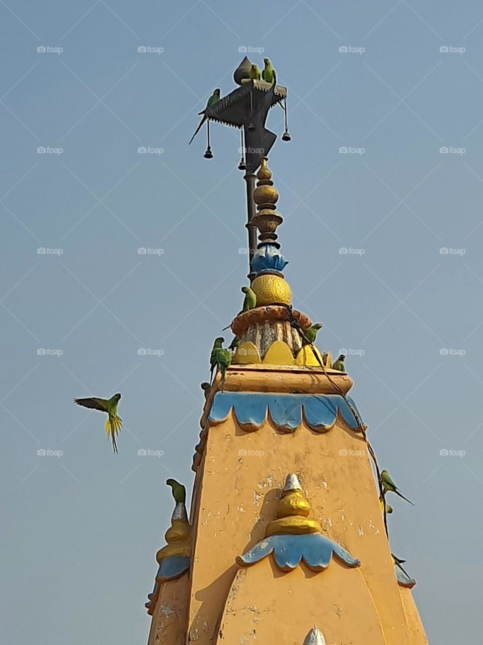 Birds Flying towards Temple