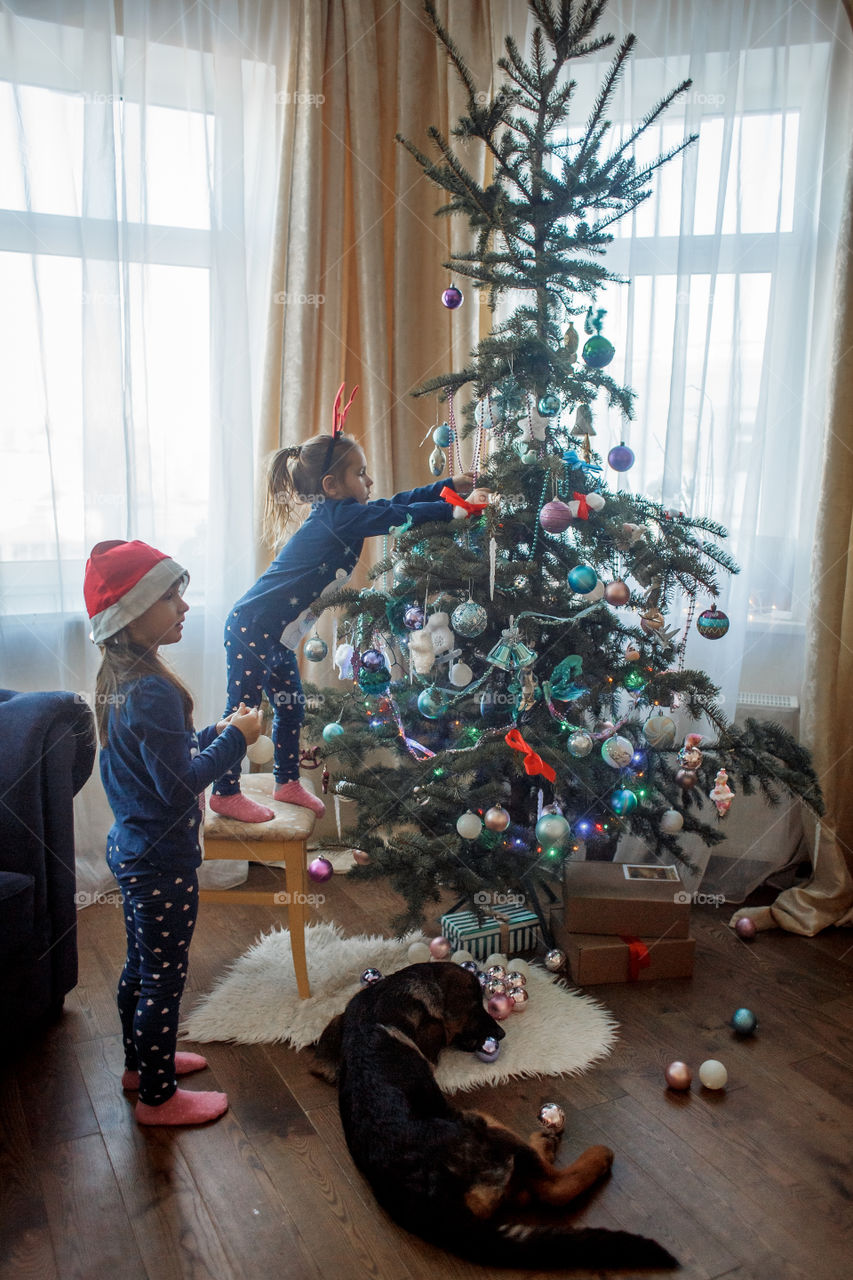 Little sisters with German shepherd puppy near Christmas tree 