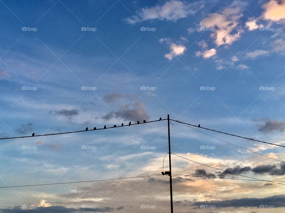 Very beautiful sky with doves relaxing at dawn. Live nature on this great Sunday! / Céu muito bonito com as pombas relaxando ao amanhecer. Viva a natureza neste ótimo domingo!