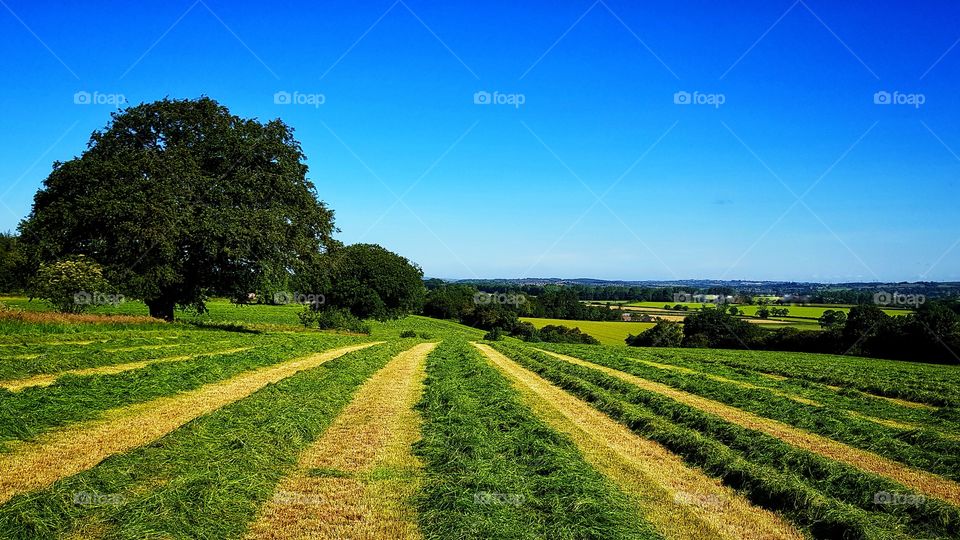 English countryside 