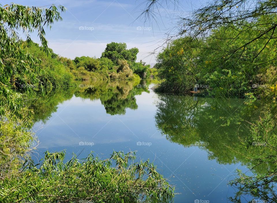Beauty of Reflections in Lake