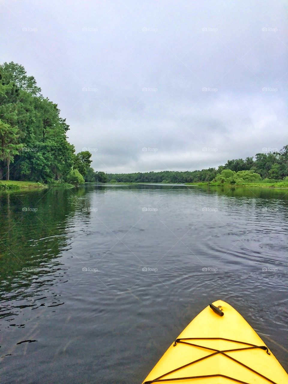 Kayaking on the Wekiva River 