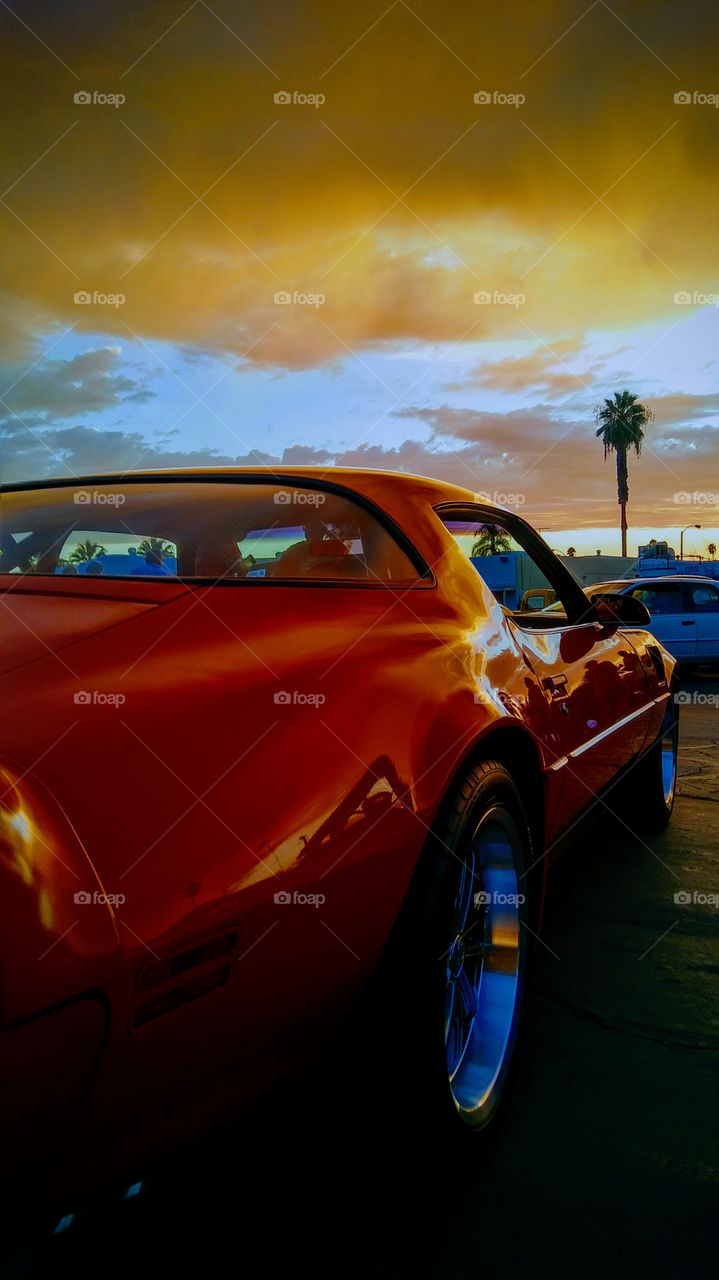 Trans Am Highway wonderland