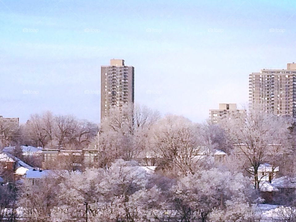 Winter scene in the city
