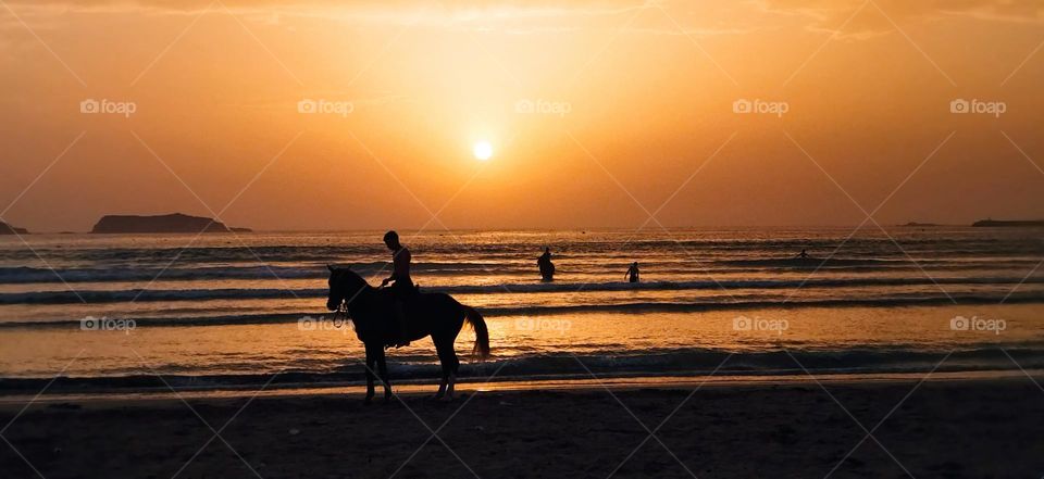 Beautiful summer near the sea and beautiful  sunset.