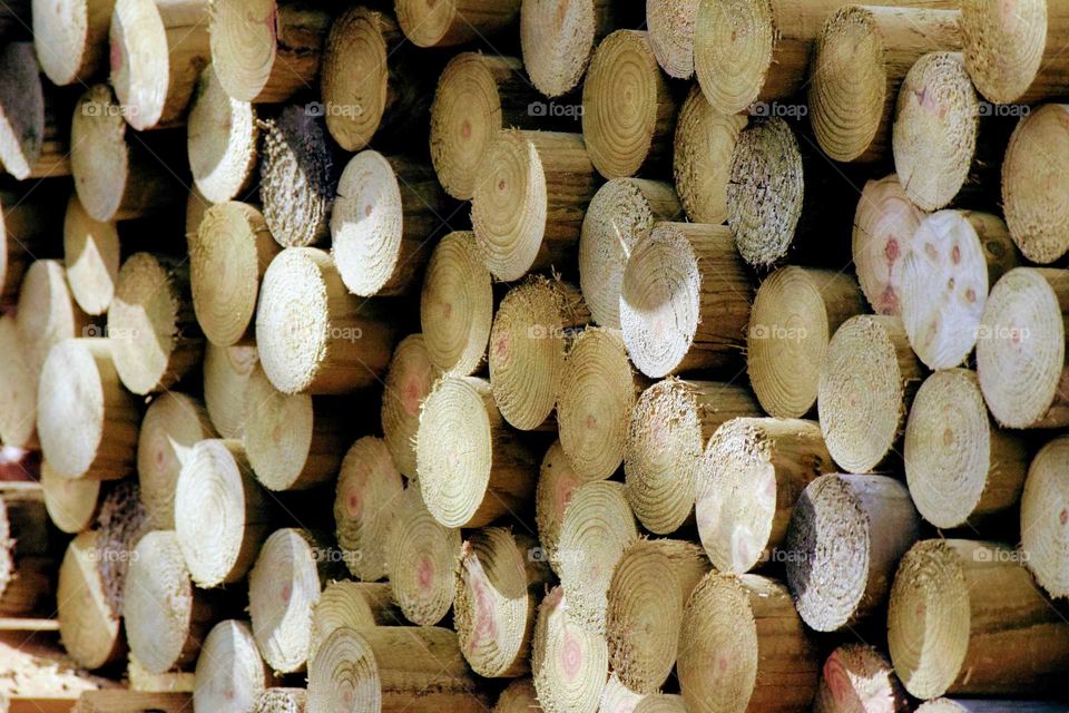 Wood Pile Rounds