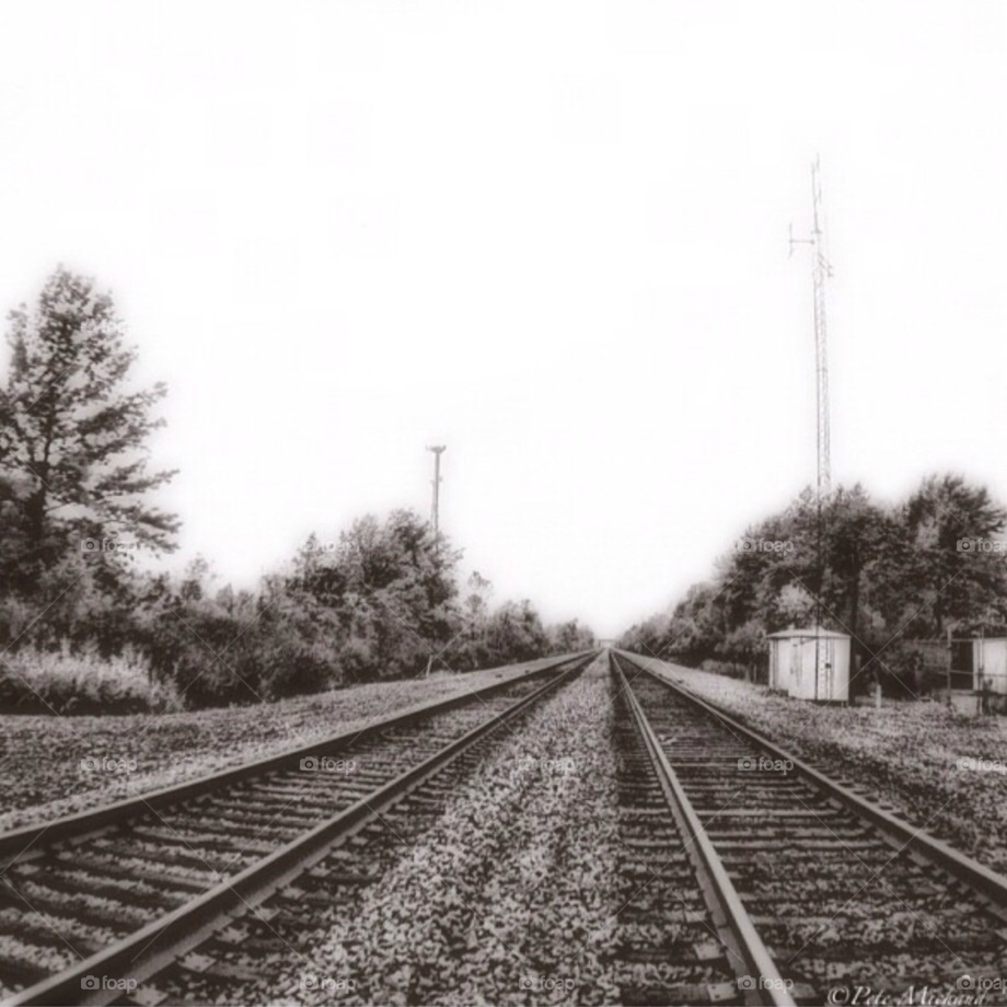 train bw scenic black and white by iphonographer4