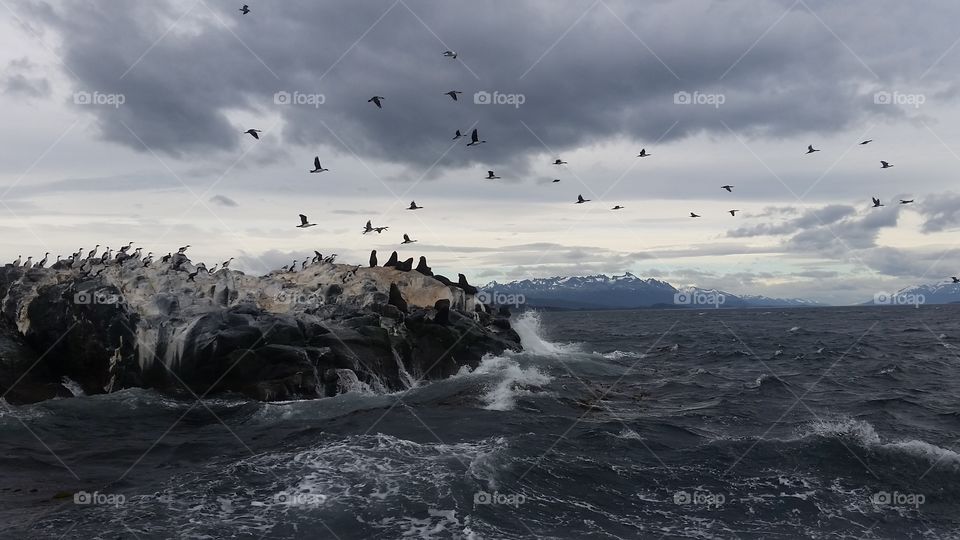 Storm at Tierra del Fuego