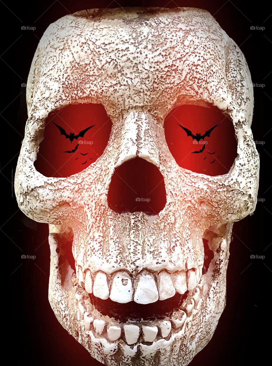 Human skull. Creepy human skull
