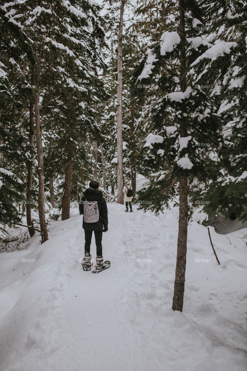 Hiking in the snow 