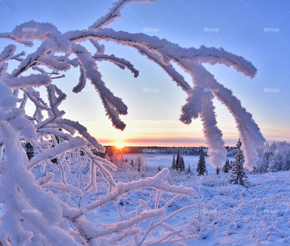 Winter, dawn, morning, winter dawn, winter morning, silence, sun, winter sun, frosty morning, frost, red, snow, frost, snowy road, frost, north, northern dawn sunset, snowflakes, color,