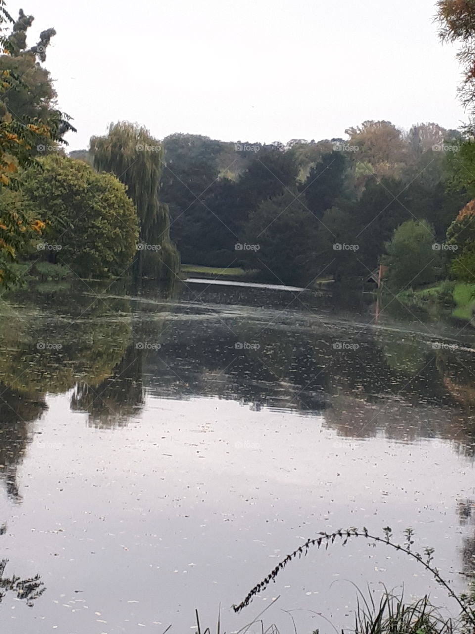 Water, River, Tree, No Person, Landscape