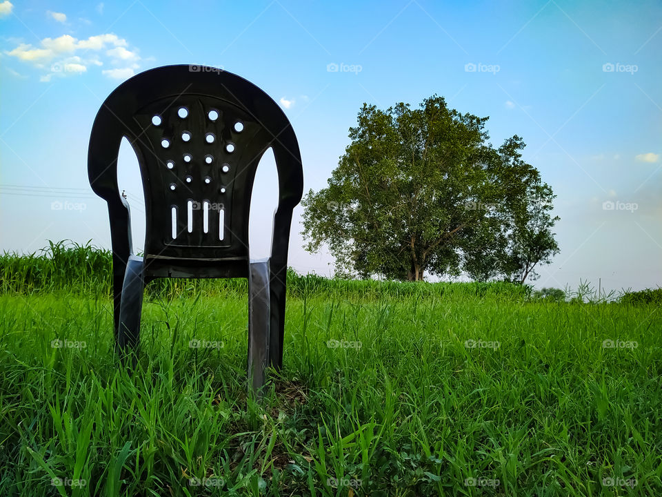 A chair on a green meadow with a tree in the background