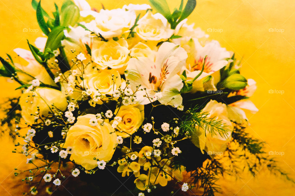 Selective focus on dices: Casino dice set. Number 6 dices on colorful background. Red gaming dices on flower background. Room for text. Game concept. Can be used for home decor.