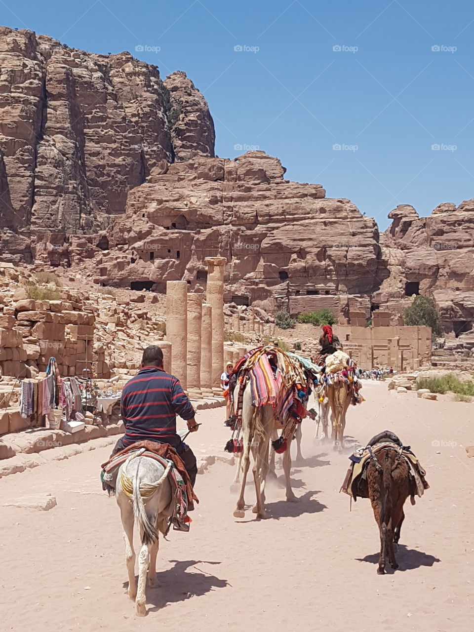 Camel and donkey owners, Petra, Jordan.