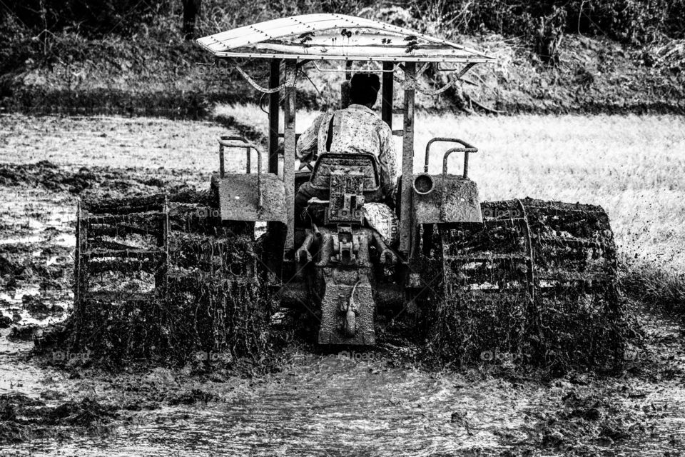 A story of a farmer who never takes rest at any season.. Working always to make his land cultivated... As you saw in picture he is doing ploughing process to turn the soil.. support agriculture