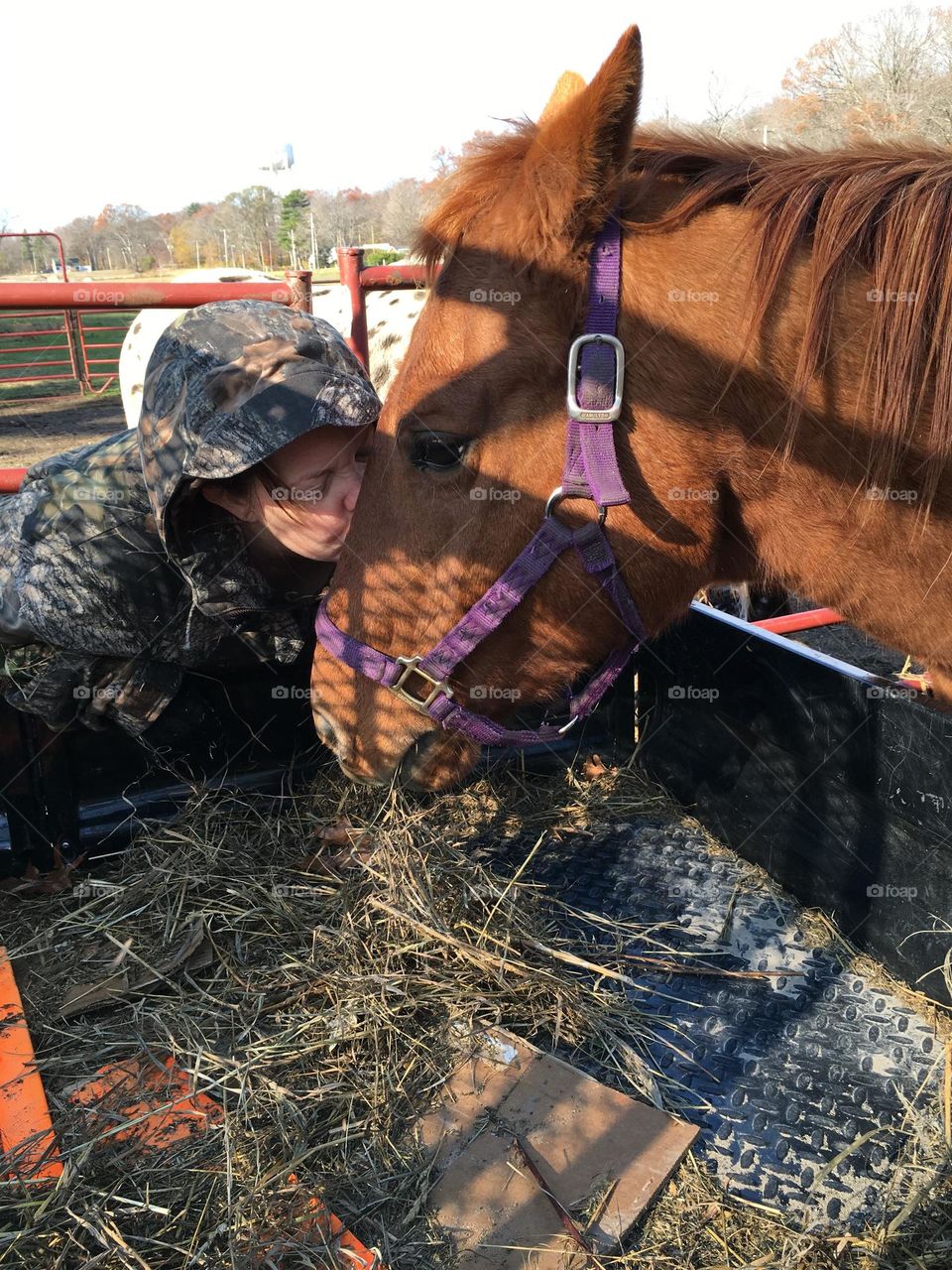 My Horse = My Heart 💕