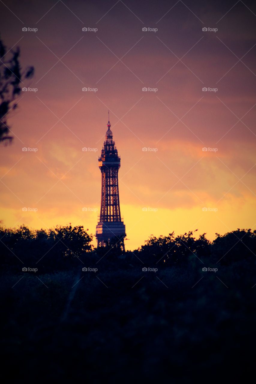 Blackpool Tower in the sunet.