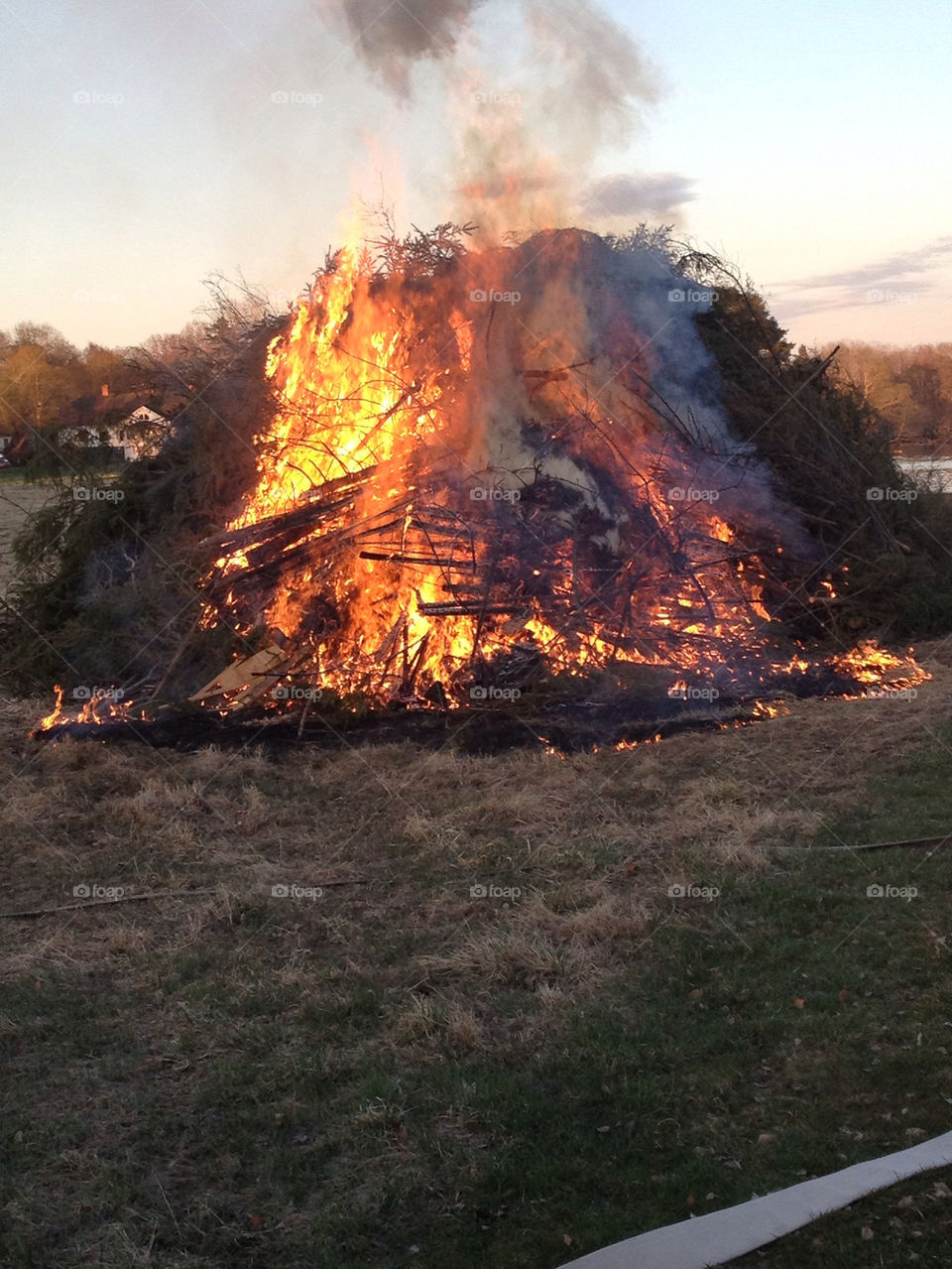 sweden grass fire shine by casperlo