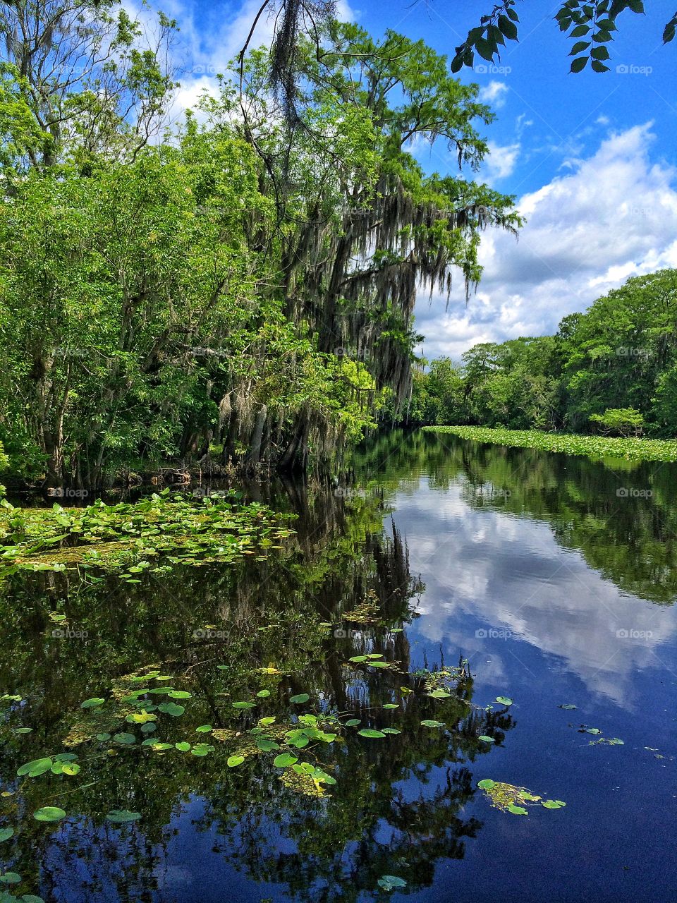 View of idyllic river