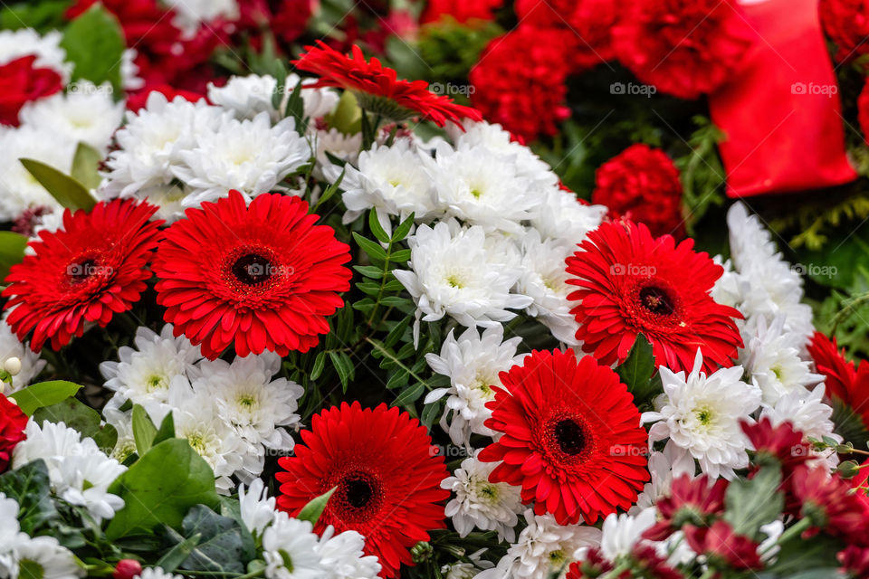 Irregulary placed flowers in various colors, multi colored floral background