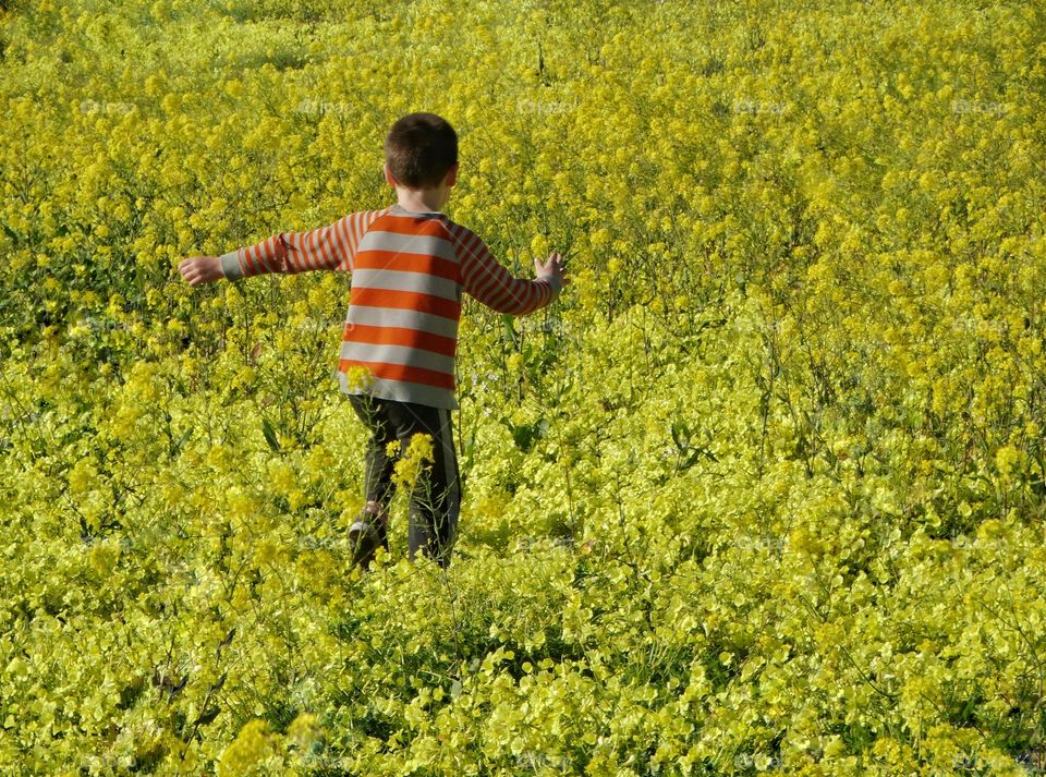 Boy Running Through Yellow Wildflowers
