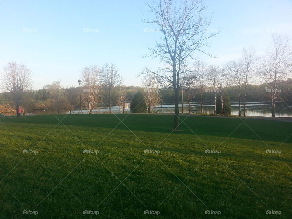 Landscape, Tree, Grass, Field, No Person