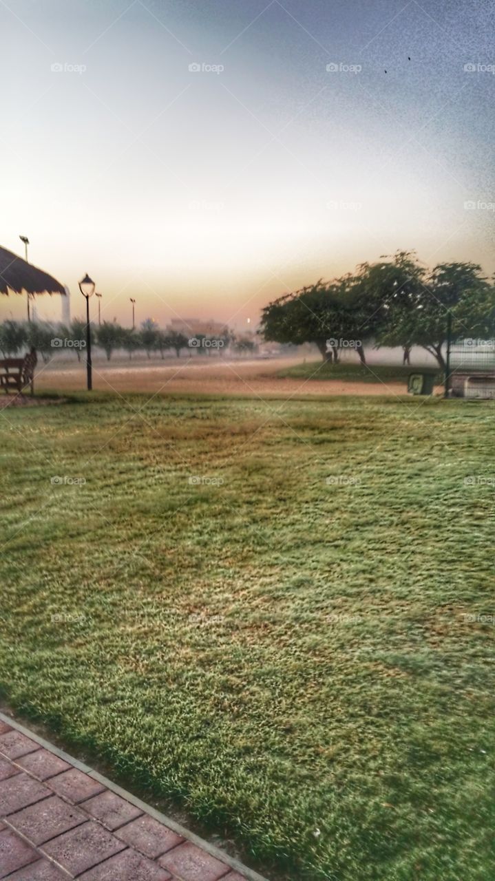 Morning at public park