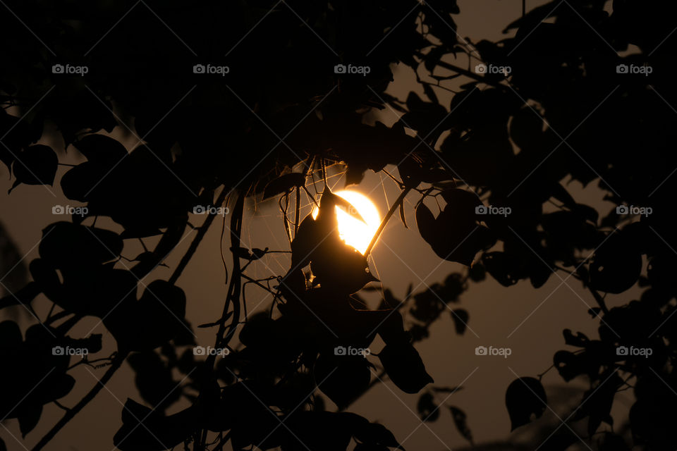 Nature is so beautifull capture it because every moment nature is changed