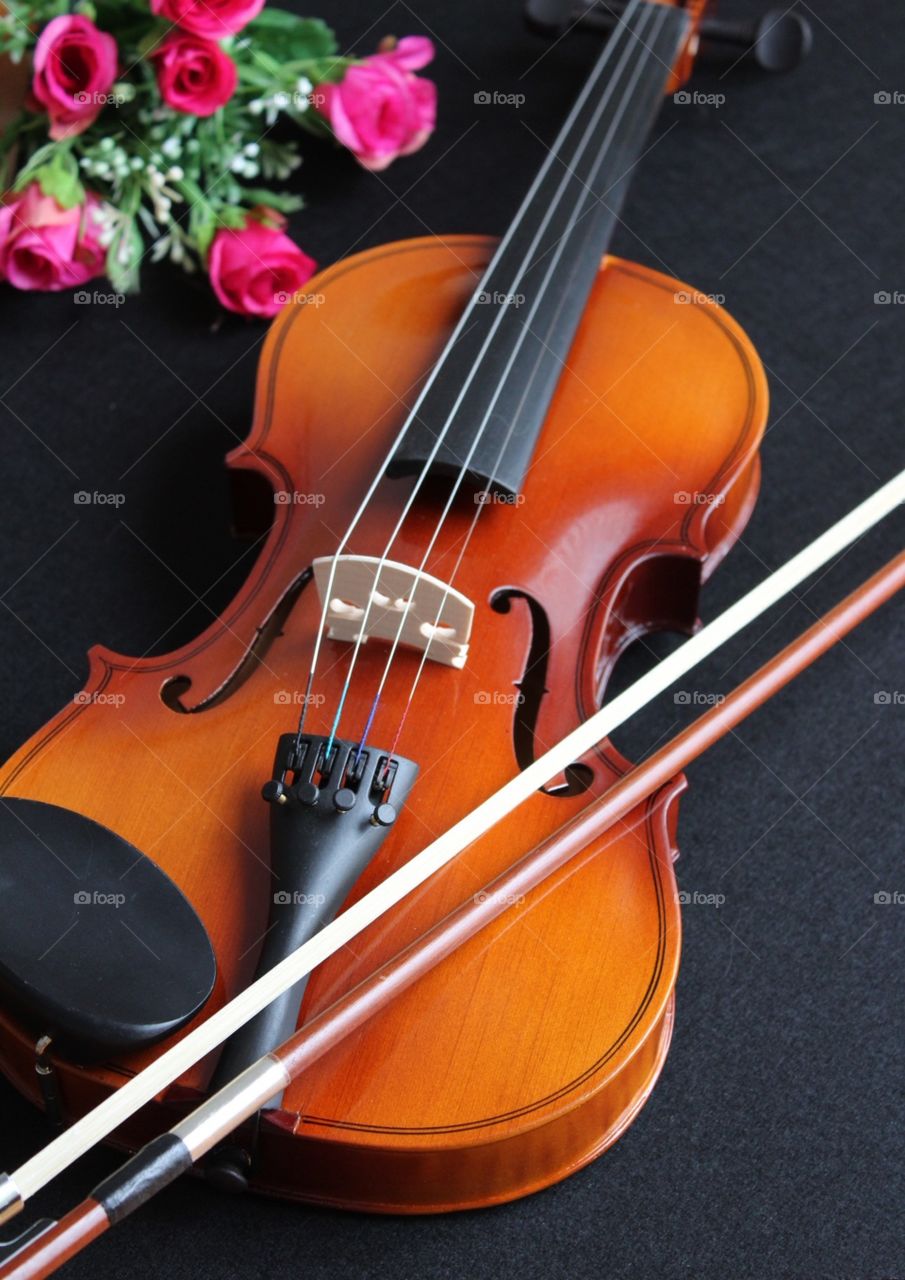 Musical instrument, violin, violin and bow, music and art 