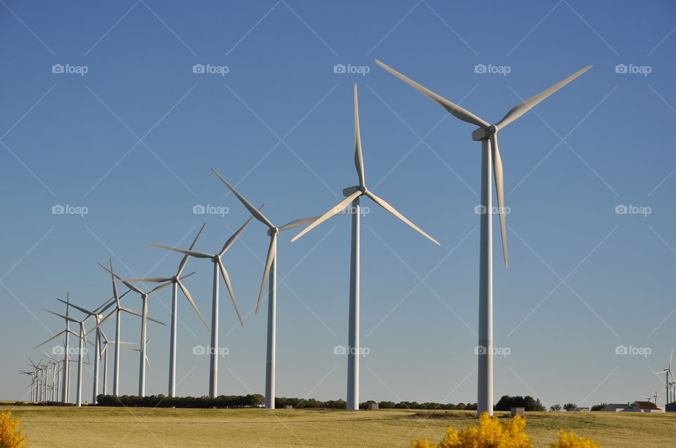 windmills