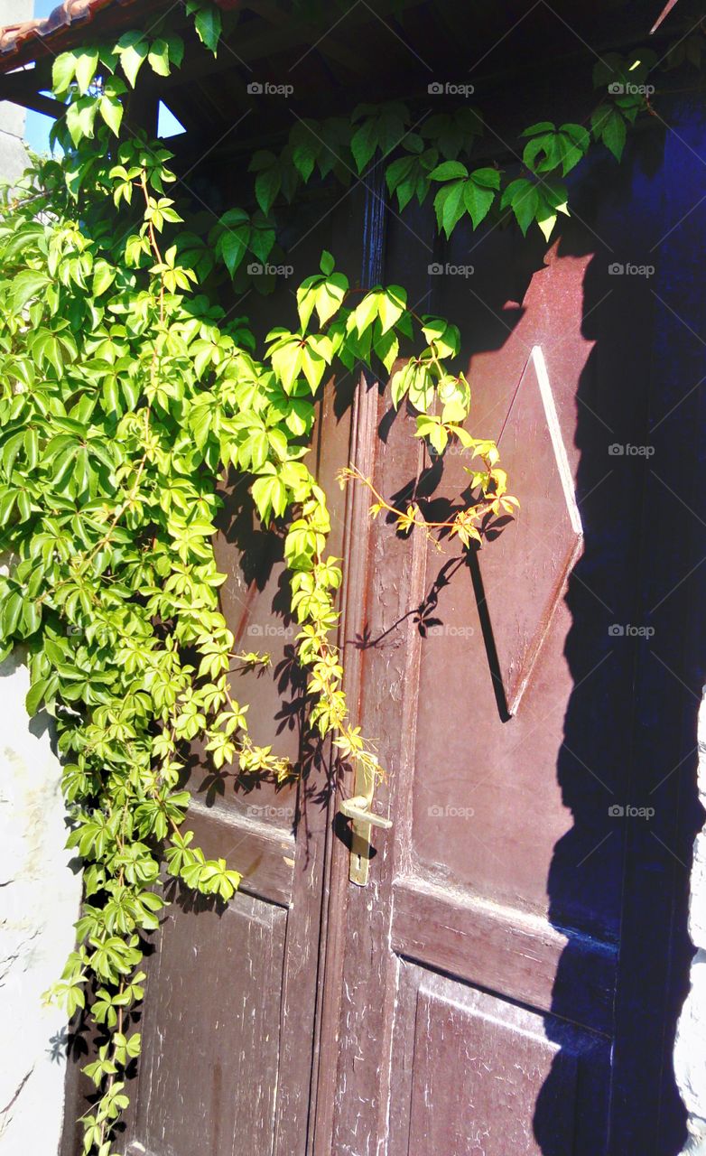 Doors that do not open