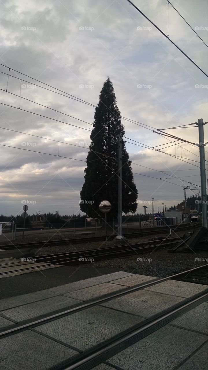 Mirror by the tracks