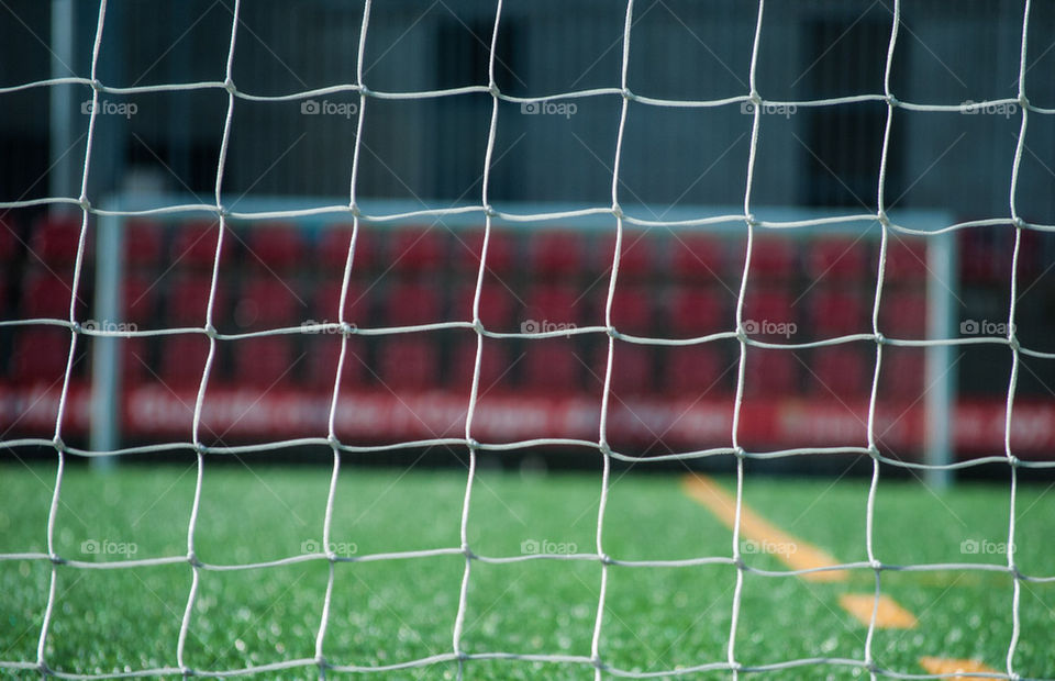 football net