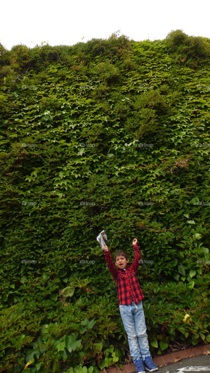 Happy four year old boy raising his arms in joy wearing red checked shirt holding a book  on his background huge bush of green ivy covering the entire wall.