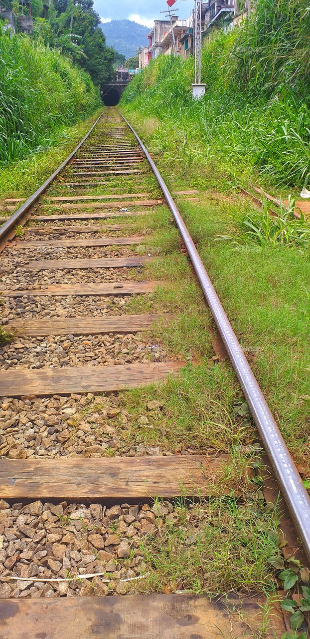 railway with nature beautiful view